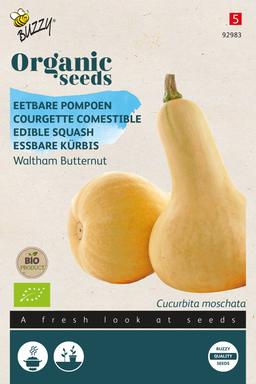 Buzzy Organic Courgette comestible Waltham Butternut (BIO) - Ca.