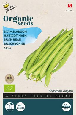 Buzzy Organic Haricot nain Maxi(BIO) - Ca. 20 gr