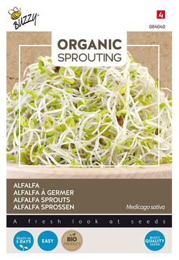 Buzzy Organic Sprouting de Alfalfa Luzerne (BIO) - Ca. 30 gr