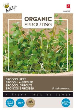 Buzzy Organic Sprouting de brocoli (BIO) - Ca. 20 gr