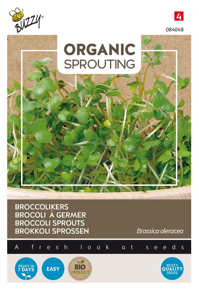 Buzzy Organic Sprouting de brocoli (BIO) - Ca. 20 gr