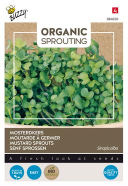 Buzzy Organic Sprouting de Moutarde (BIO) - Ca. 30 gr