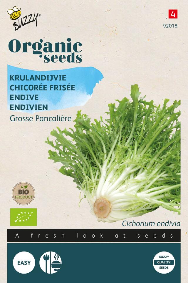 Buzzy Organic Chicorée Frisée Grosse Pancalière (BIO) - Ca. 1 gr