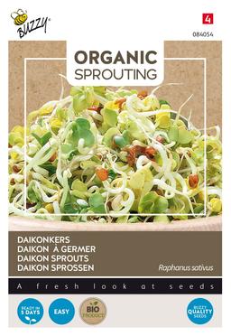 Buzzy Organic Sprouting Radis japonais, Daikon (BIO) - Ca. 30 gr