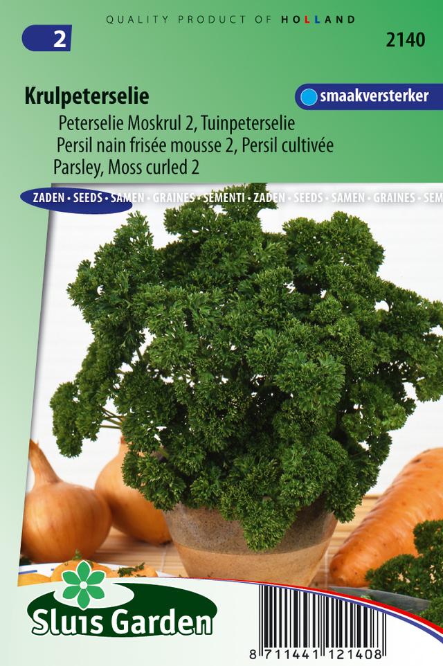 Persil nain frisée mousse 2 - Les Herbes aromatiques - Ca. 3 gr