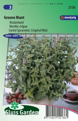 Menthe crépue (Mentha spicata crispa) - Les Herbes aromatiques -