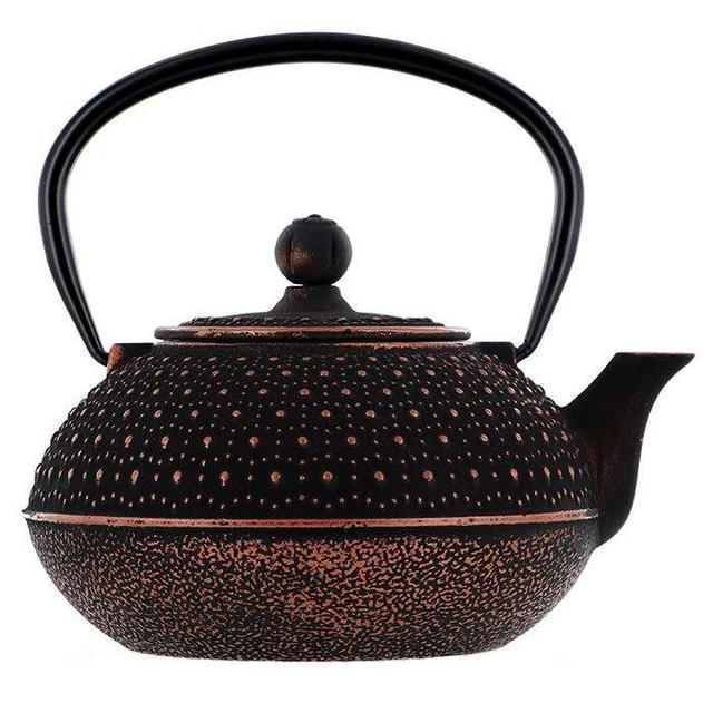 Théière en fonte chinoise Sui - 0,8 L