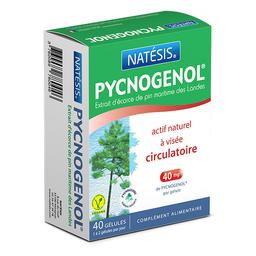 Pycnogenol Extrait d'écorce de pin x 40 gélules