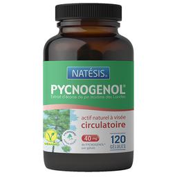 Pycnogenol extrait d'écorce de pin 120 gélules