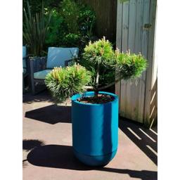 Bac à fleurs rond GRANIT TULIPE - Plastique Ø 40 cm - Bleu