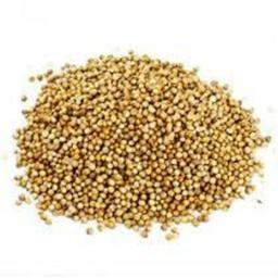 Coriandre en grains bio 500g