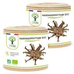 Harpagophytum Bio - Complément alimentaire - 2X60gl