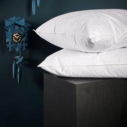 Oreiller Moelleux - 90% Duvet Canard