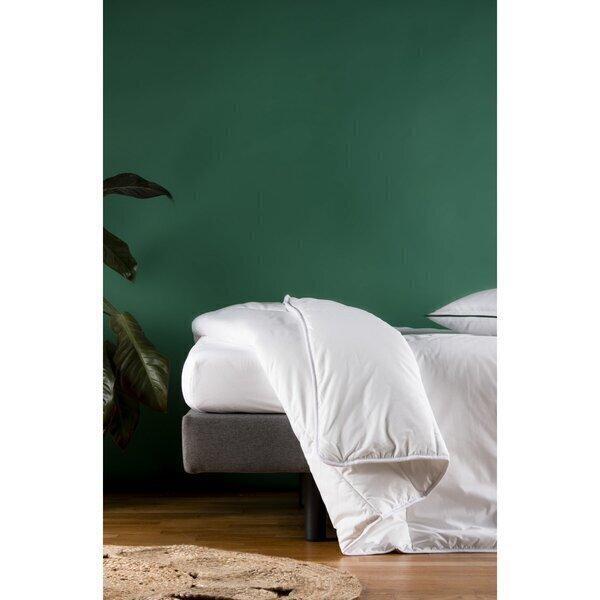 Couette Adulte TENCEL Coton Bio