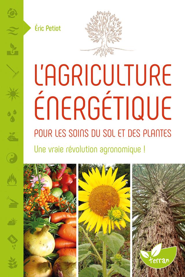 L'Agriculture énergétique