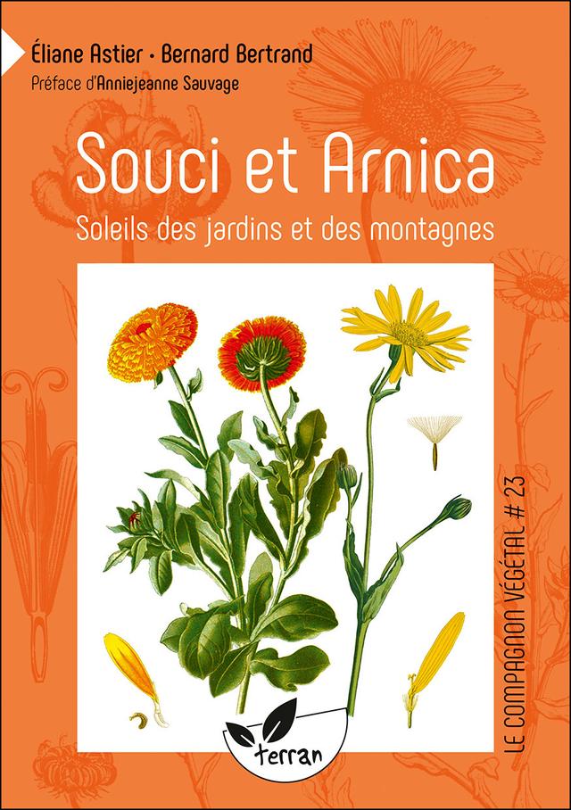 Souci et arnica, soleils des jardins et des montagnes