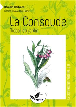 La Consoude, trésor du jardin