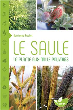 Le Saule