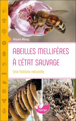 Abeilles mellifères à l'état sauvage