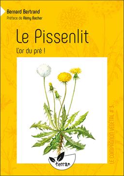 Le Pissenlit, l'or du pré !