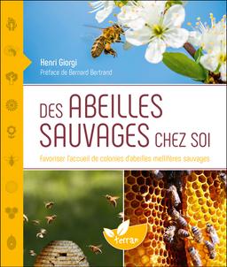 Des abeilles sauvages chez soi