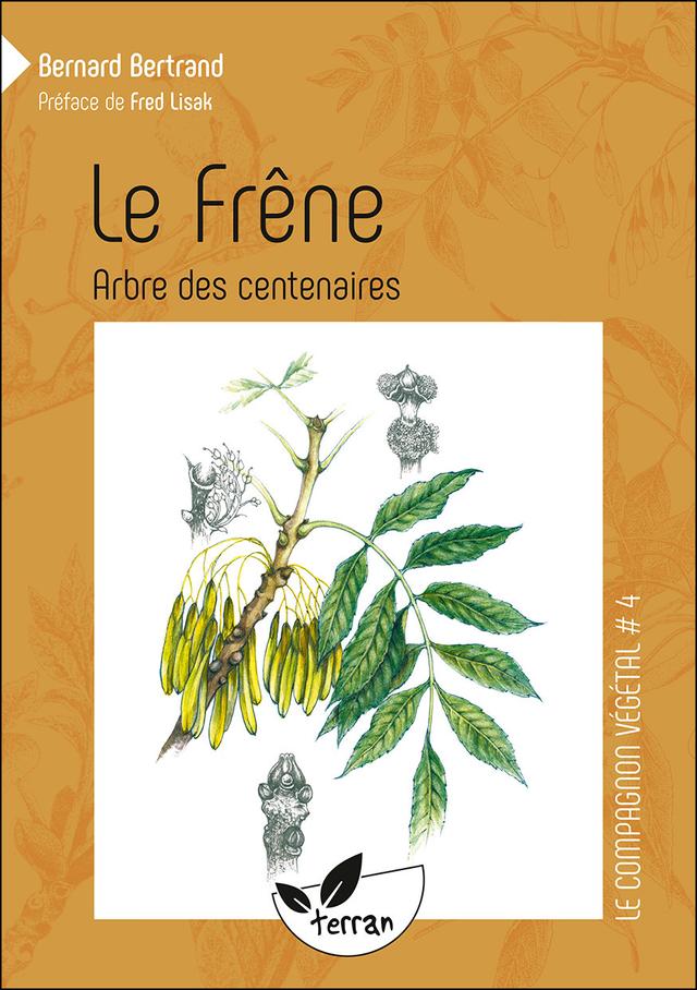 Le Frêne, arbre des centenaires