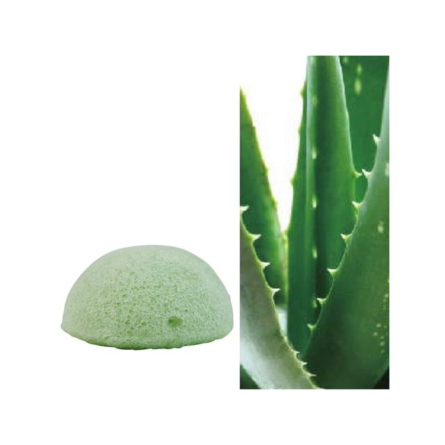 Eponge KONJAC à l'Aloe Vera