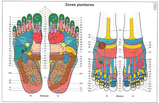 La Réflexologie Plantaire C Est Quoi Greenweez Magazine