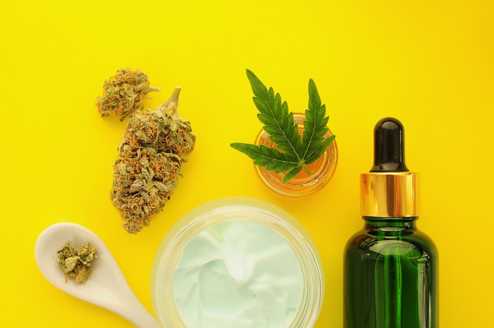 CBD Bienfaits Et Utilisations - Greenweez Magazine